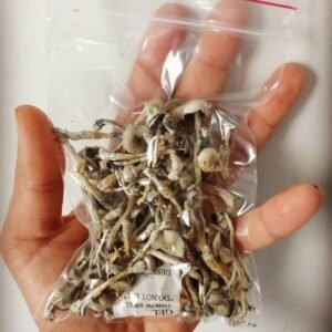 Buy Albino Penis Envy Online - Albino Penis Envy for Sale