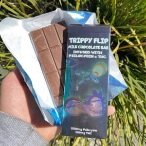 Trippy Flip Mushroom Chocolate Bar